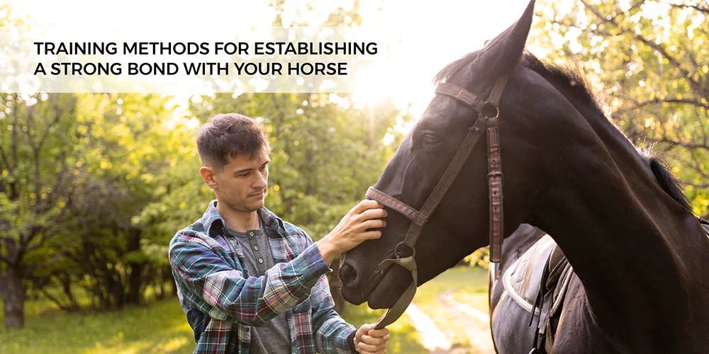 Training Methods for Establishing a Strong Bond with Your Horse